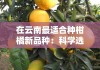 在云南最適合種柑橘新品種：科學(xué)選育與區(qū)域優(yōu)勢(shì)深度解析