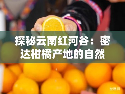探秘云南紅河谷:密達柑橘產(chǎn)地的自然饋贈與甜蜜寶藏